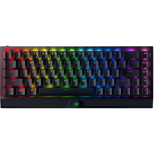 Razer BlackWidow V3 Mini...
